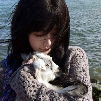 玩转好莱坞